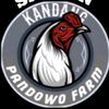 pandowo.farm