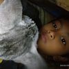 pras12004