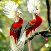 thuyanpham019