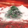 Mazen_the__great