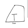 trique_paper01