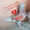 راعي الحمراء ✌️