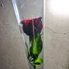 naaaa_0077