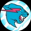 mrbeastgames254