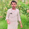 dm.dashti01