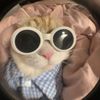 cutevcra