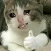 anhoem37