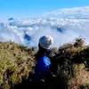 wander.withtin