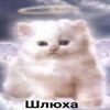 sha_chakh