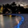mirnatarabay7