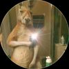 guido_gonzalez8