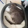 bicky_roo