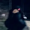 di4nqw