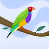 naeem.zafar79