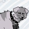 cloudy_the_dog
