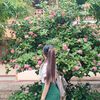 shoonlae801