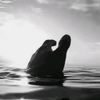 like_follow.for.a