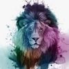 user7246070033134
