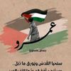 amr2mahmoud