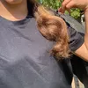 esmereed25