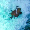 Balidas Dive Center