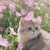 hagar_1210