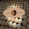 jawzia.razo