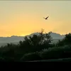 hayatsun1