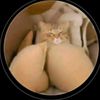 mickael_2905