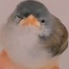 claude_okay