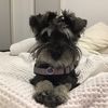 aphroandfifi