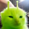 st4rrlightt_erinee