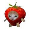 puffyz_berry_roach
