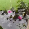 tunleminh