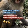 bowo8940