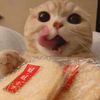 dumplilyy