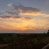 emmiiitaa31
