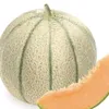 iammelon01
