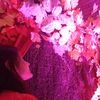 medha.agarwall
