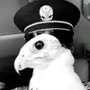 y.qy3