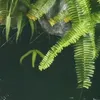 quynhnhu03_07