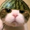 user176536824