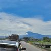 brebes_2830