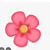 nguyenthihongthao5