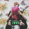 apfs_norm_tema_zxc