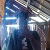 ridhos1234