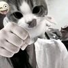 wanwawa123