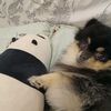 jess79101