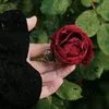 rahaf_8315