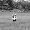claramaharani18